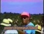 Sweet Micky - Cocorico Music Video